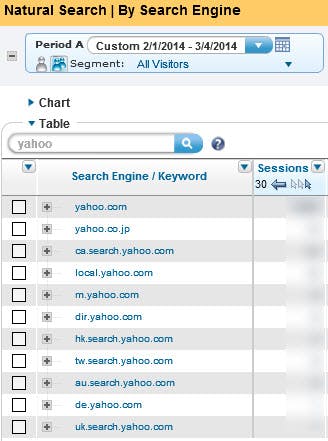 Marketing Channels -&gt; Natural Search -&gt; By Search Engine